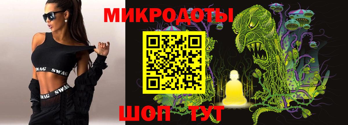 Псилоцибиновые грибы Psilocybe Лениногорск