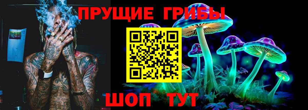 Галлюциногенные грибы ЛСД  Вход с VPN  купить наркотики сайты  Галлюциногенные грибы Psilocybe  Лениногорск 